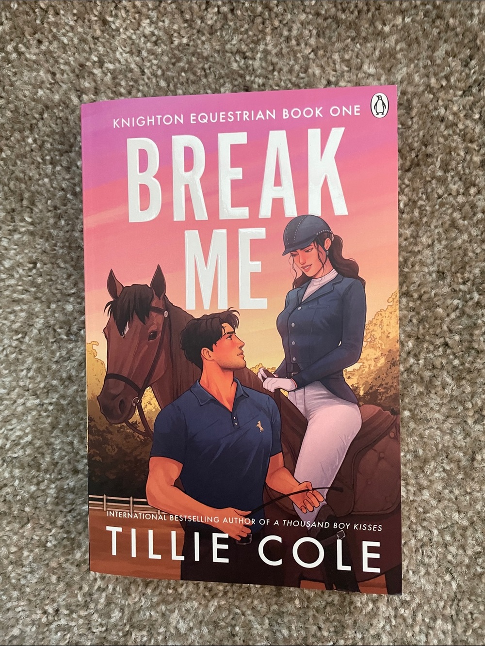 Break Me • Tillie Cole Paperback Book